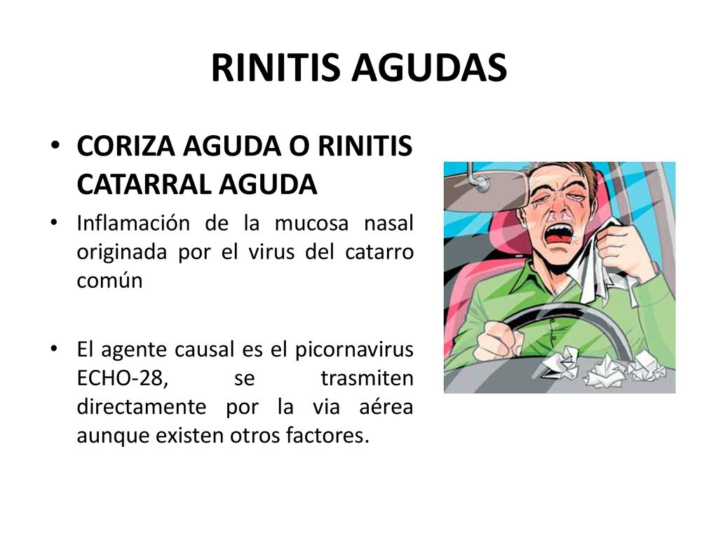 RINITIS AGUDAS CORIZA AGUDA O RINITIS CATARRAL AGUDA