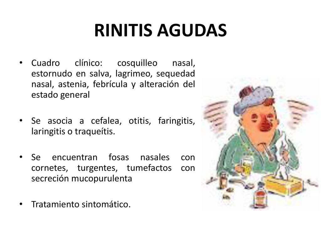 RINITIS AGUDAS Cuadro clínico: cosquilleo nasal, estornudo en salva, lagrimeo, sequedad nasal, astenia, febrícula y alteración del estado general.