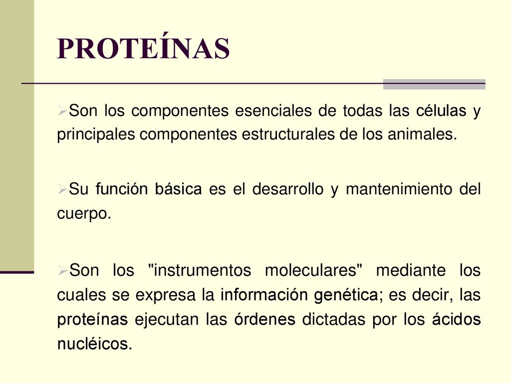 PROTEÍNAS Son los componentes esenciales de todas las células y principales componentes estructurales de los animales.
