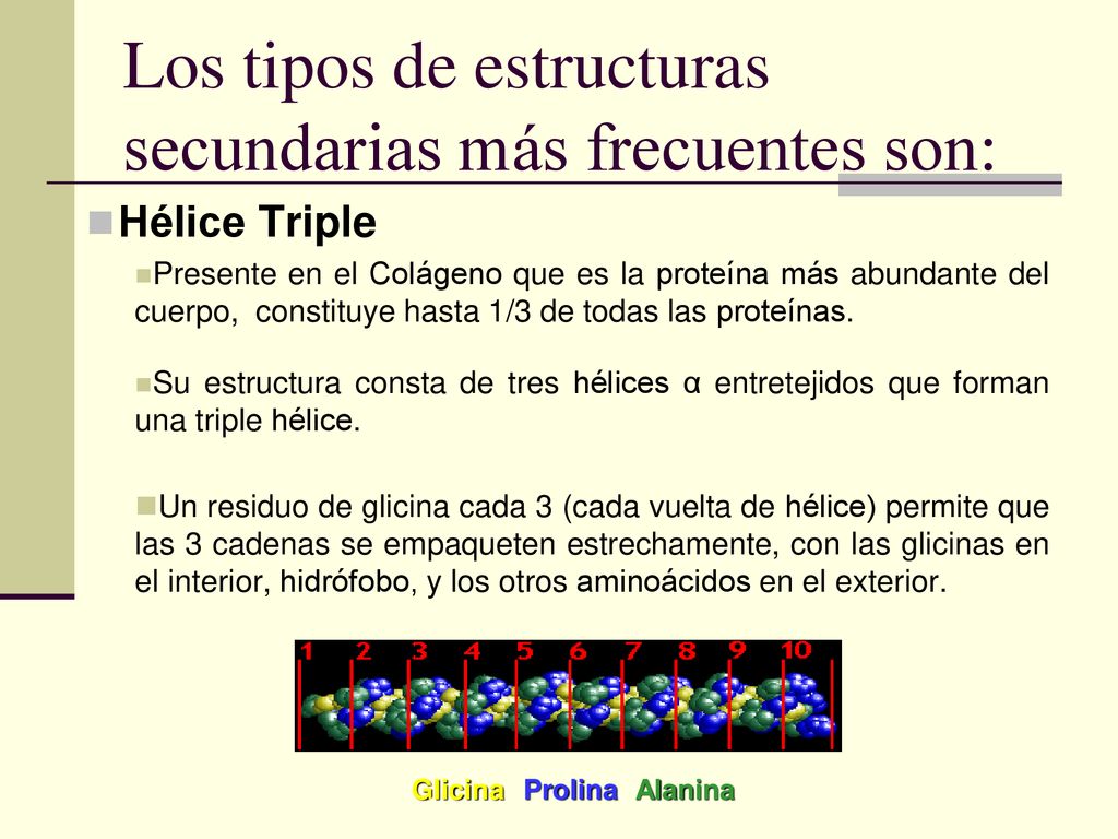 Los tipos de estructuras secundarias más frecuentes son: