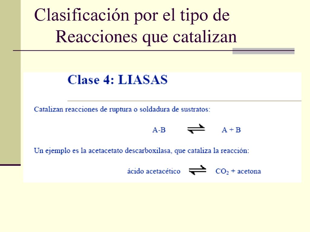 Clasificación por el tipo de Reacciones que catalizan