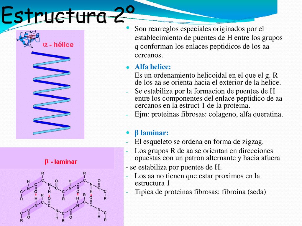 Estructura 2º Son rearreglos especiales originados por el