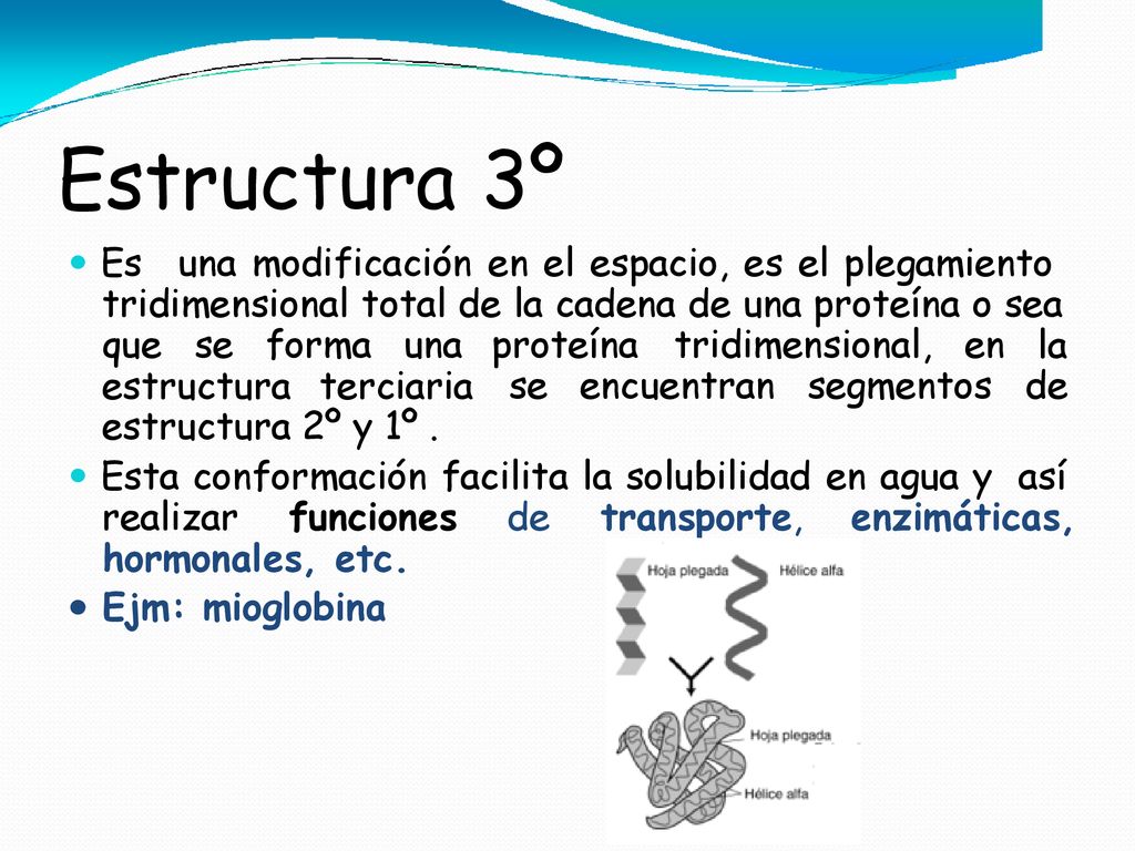 Estructura 3º una modificación en el espacio, es el plegamiento