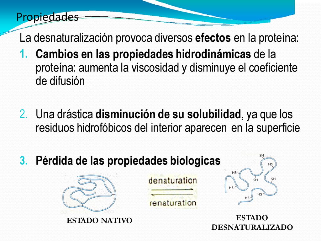Propiedades La. 1. desnaturalización provoca diversos efectos en la proteína: