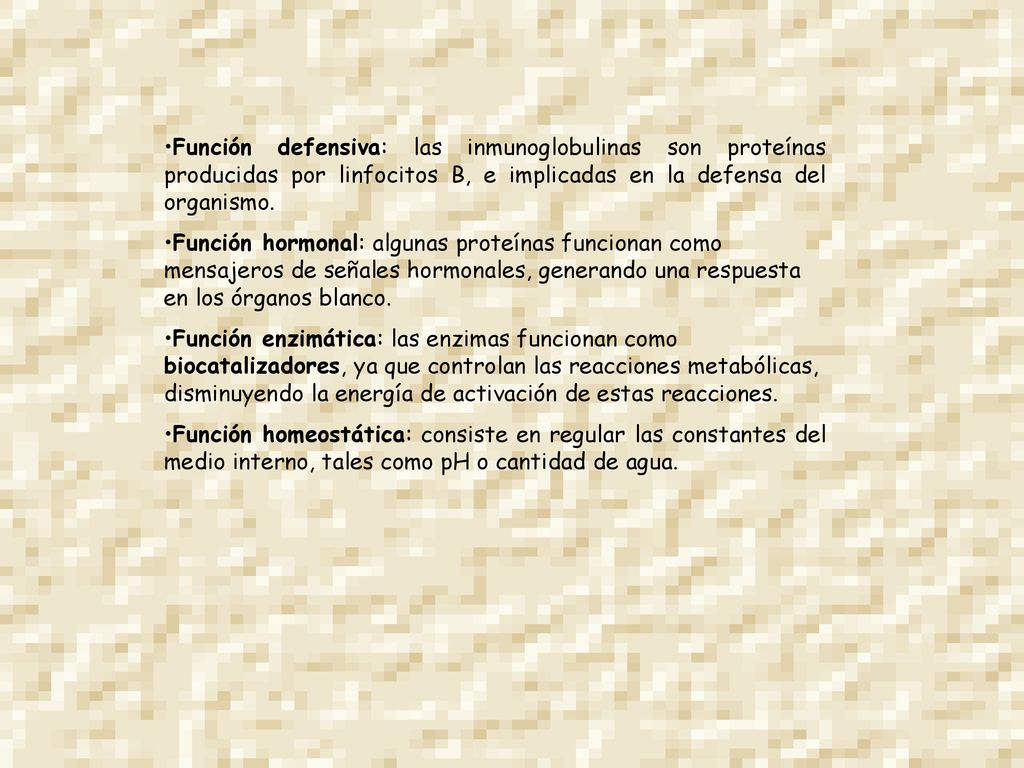 Función defensiva: las inmunoglobulinas son proteínas producidas por linfocitos B, e implicadas en la defensa del organismo.
