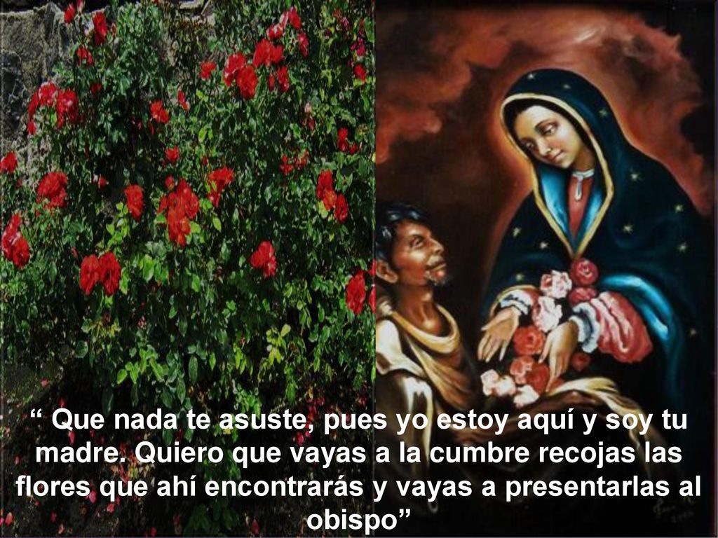 Que nada te asuste, pues yo estoy aquí y soy tu madre