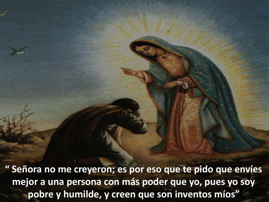 Señora no me creyeron; es por eso que te pido que envíes mejor a una persona con más poder que yo, pues yo soy pobre y humilde, y creen que son inventos míos