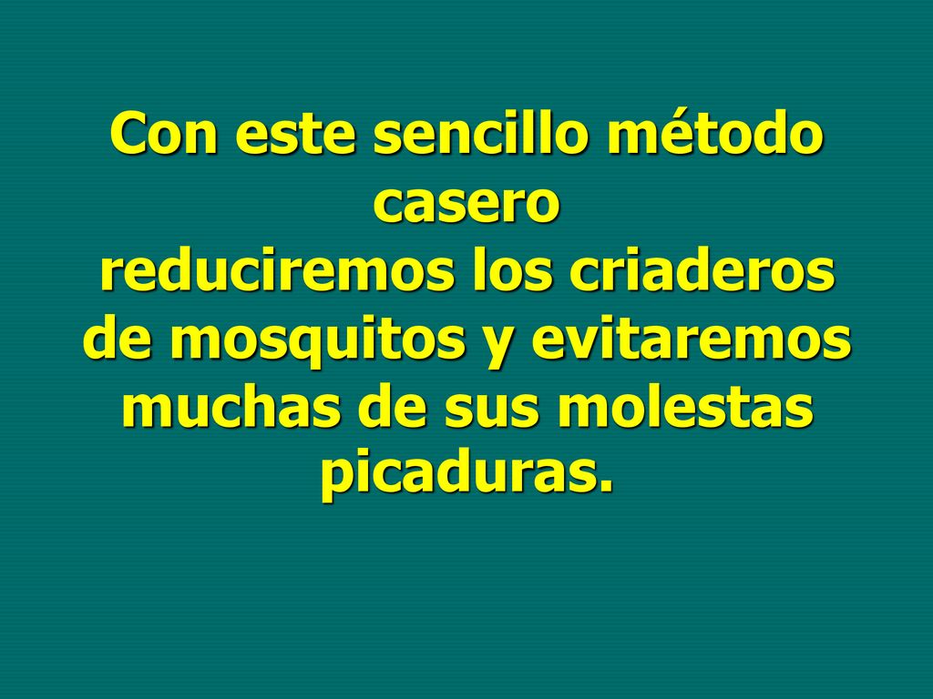 Con este sencillo método casero reduciremos los criaderos de mosquitos y evitaremos muchas de sus molestas picaduras.