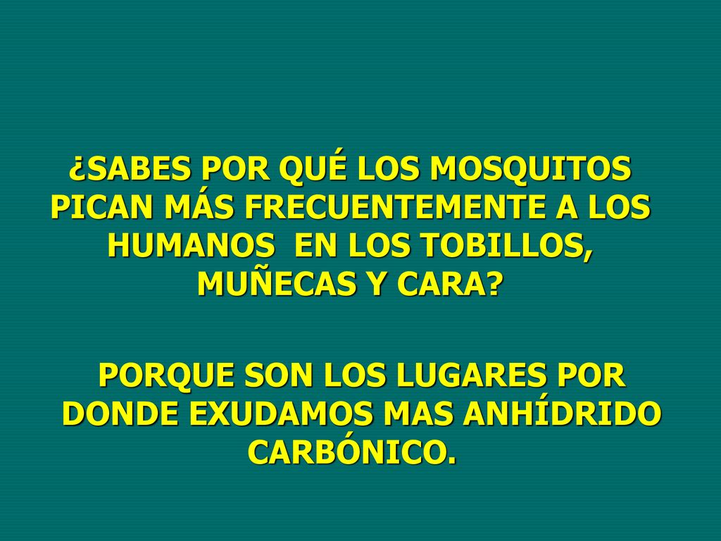PORQUE SON LOS LUGARES POR DONDE EXUDAMOS MAS ANHÍDRIDO CARBÓNICO.
