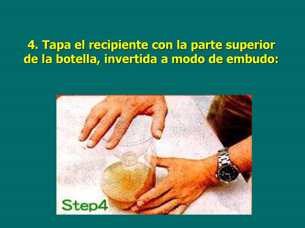 4. Tapa el recipiente con la parte superior de la botella, invertida a modo de embudo: