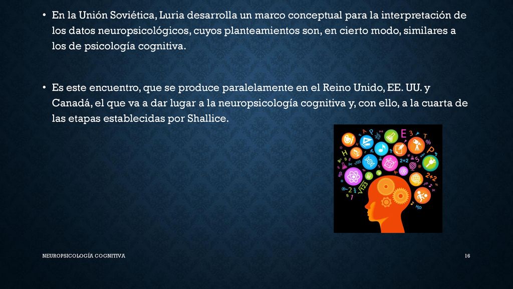 En la Unión Soviética, Luria desarrolla un marco conceptual para la interpretación de los datos neuropsicológicos, cuyos planteamientos son, en cierto modo, similares a los de psicología cognitiva.