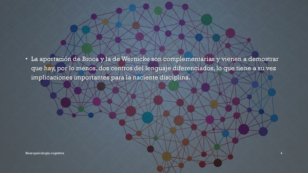 La aportación de Broca y la de Wernicke son complementarias y vienen a demostrar que hay, por lo menos, dos centros del lenguaje diferenciados, lo que tiene a su vez implicaciones importantes para la naciente disciplina.