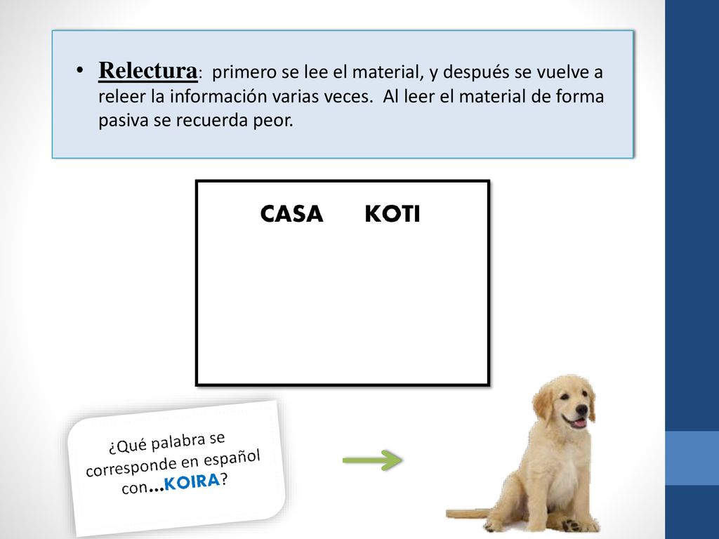 Relectura: primero se lee el material, y después se vuelve a releer la información varias veces.