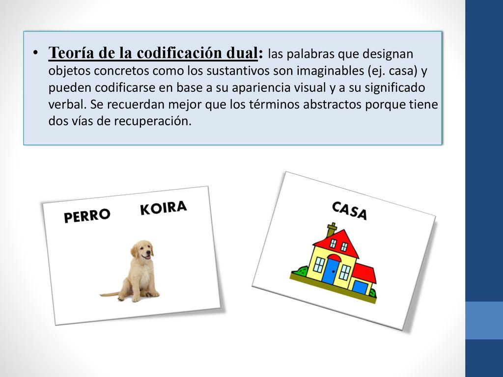 Teoría de la codificación dual: las palabras que designan objetos concretos como los sustantivos son imaginables (ej.