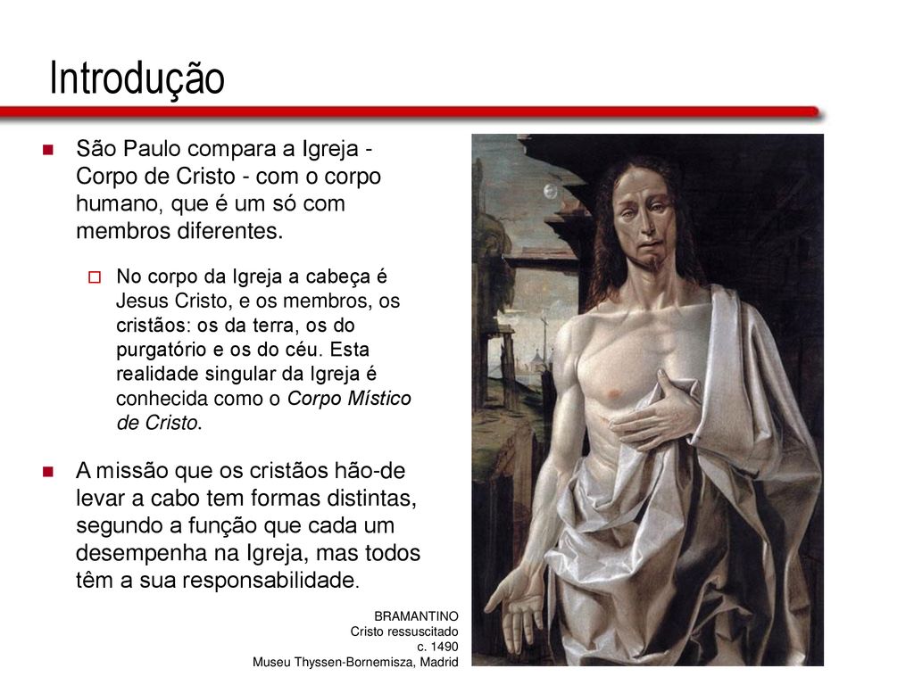 Introdução São Paulo compara a Igreja -Corpo de Cristo - com o corpo humano, que é um só com membros diferentes.