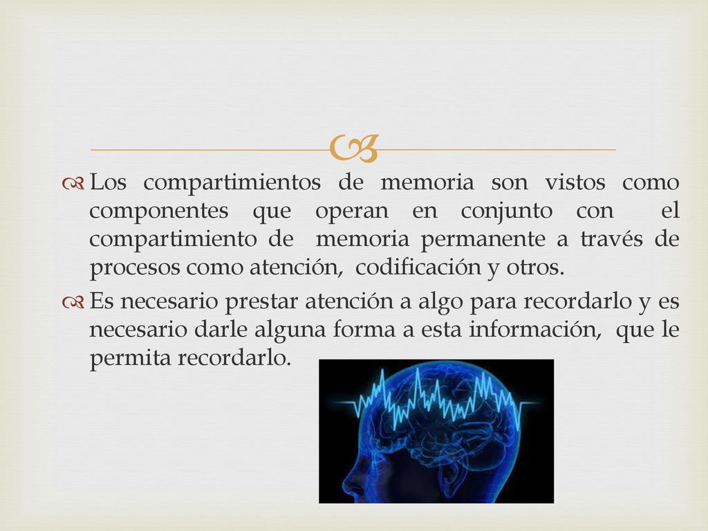 Los compartimientos de memoria son vistos como componentes que operan en conjunto con el compartimiento de memoria permanente a través de procesos como atención, codificación y otros.