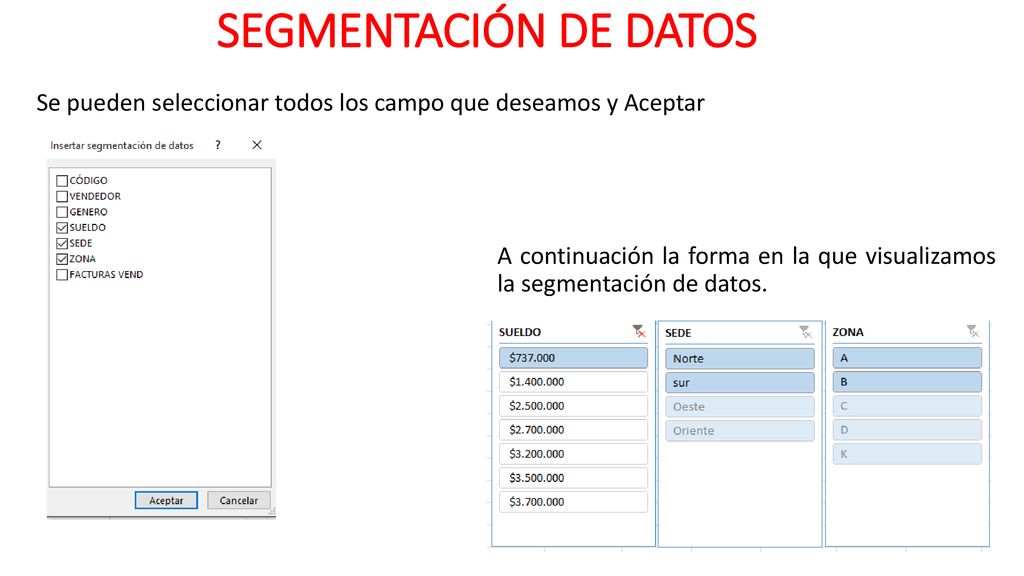 SEGMENTACIÓN DE DATOS Se pueden seleccionar todos los campo que deseamos y Aceptar.