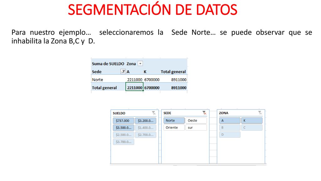 SEGMENTACIÓN DE DATOS Para nuestro ejemplo… seleccionaremos la Sede Norte… se puede observar que se inhabilita la Zona B,C y D.