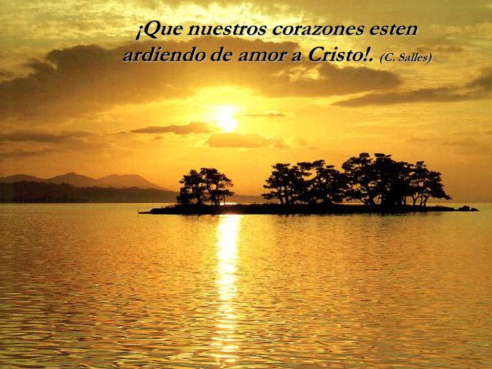 ¡Que nuestros corazones esten ardiendo de amor a Cristo!. (C. Salles)