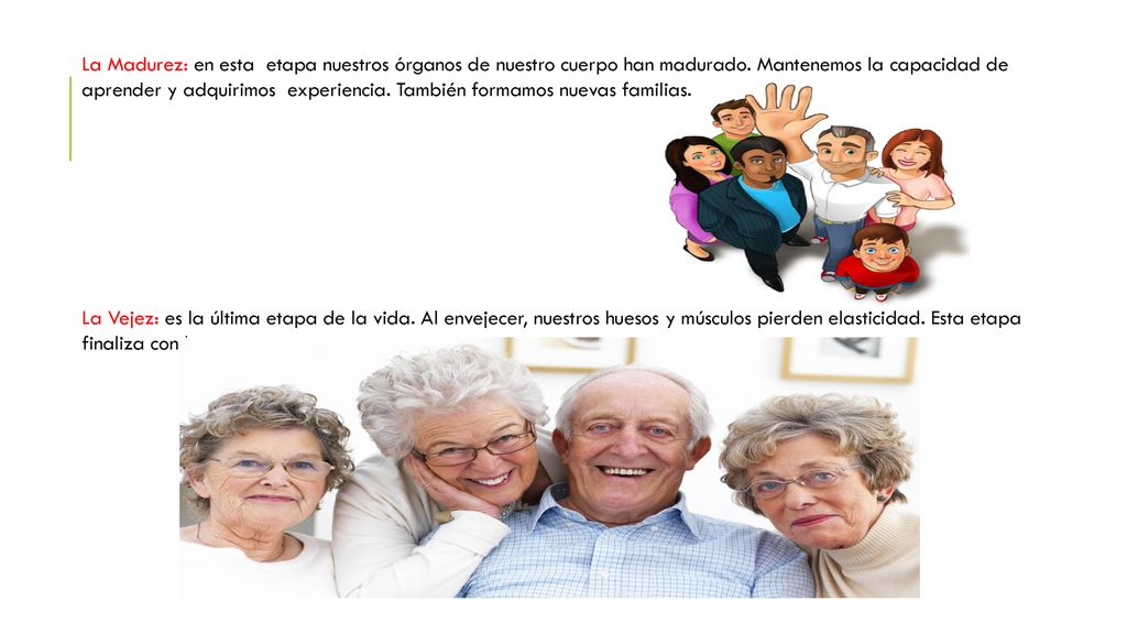 La Madurez: en esta etapa nuestros órganos de nuestro cuerpo han madurado. Mantenemos la capacidad de aprender y adquirimos experiencia. También formamos nuevas familias.