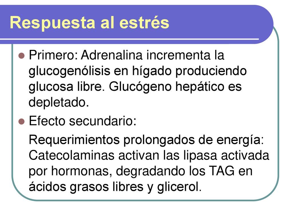 Respuesta al estrés Primero: Adrenalina incrementa la glucogenólisis en hígado produciendo glucosa libre. Glucógeno hepático es depletado.