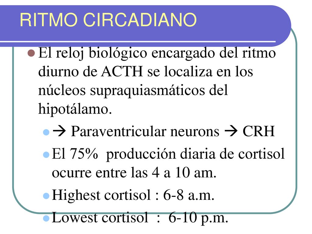 RITMO CIRCADIANO El reloj biológico encargado del ritmo diurno de ACTH se localiza en los núcleos supraquiasmáticos del hipotálamo.