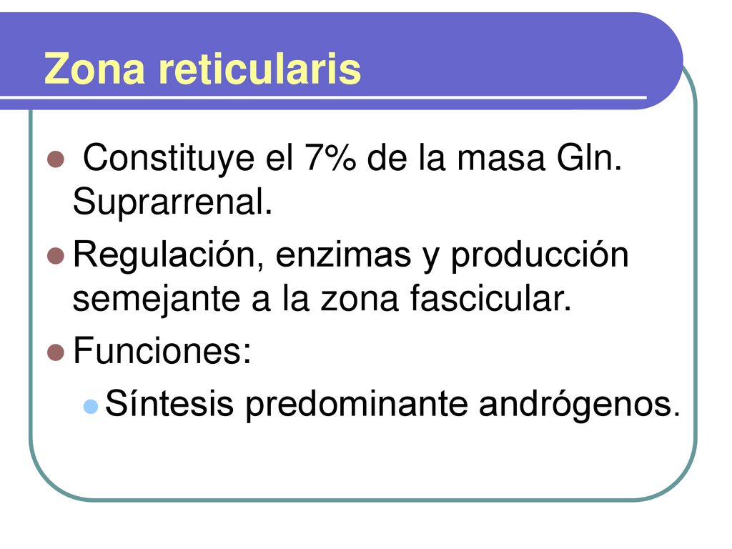 Zona reticularis Constituye el 7% de la masa Gln. Suprarrenal.