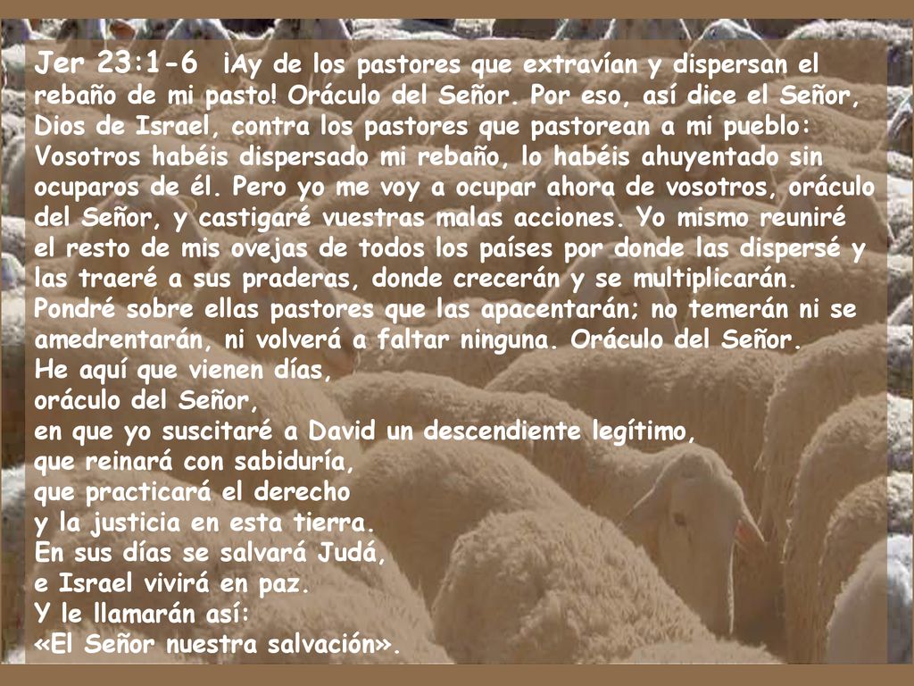 Jer 23:1-6 ¡Ay de los pastores que extravían y dispersan el rebaño de mi pasto.