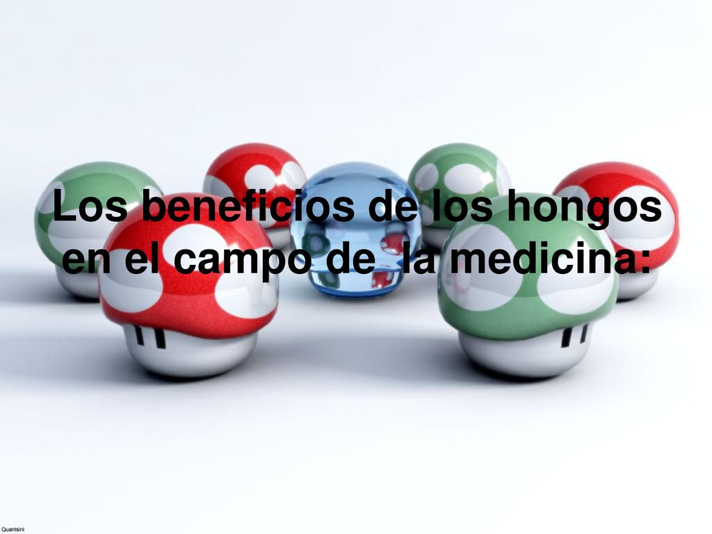 Los beneficios de los hongos en el campo de la medicina: