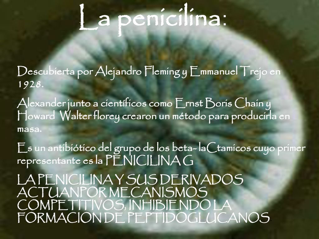 La penicilina: Descubierta por Alejandro Fleming y Emmanuel Trejo en