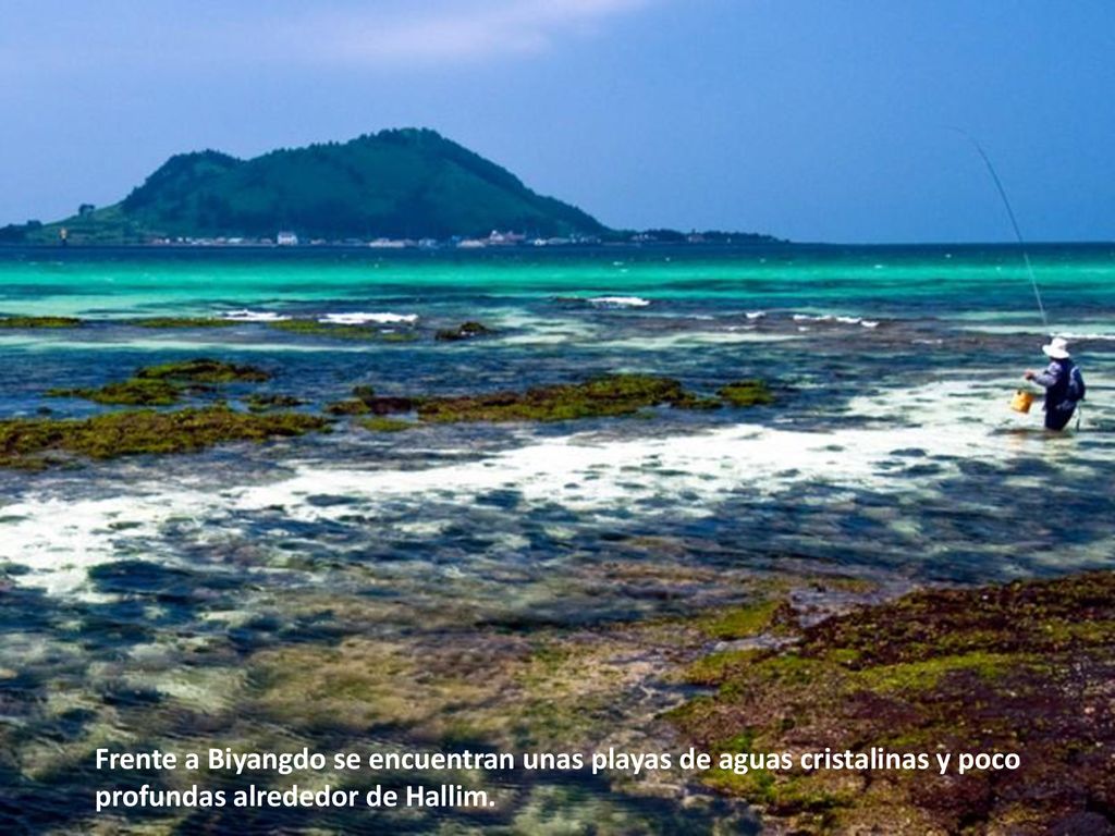 Frente a Biyangdo se encuentran unas playas de aguas cristalinas y poco profundas alrededor de Hallim.