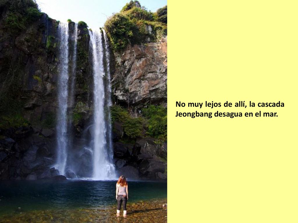 No muy lejos de allí, la cascada Jeongbang desagua en el mar.
