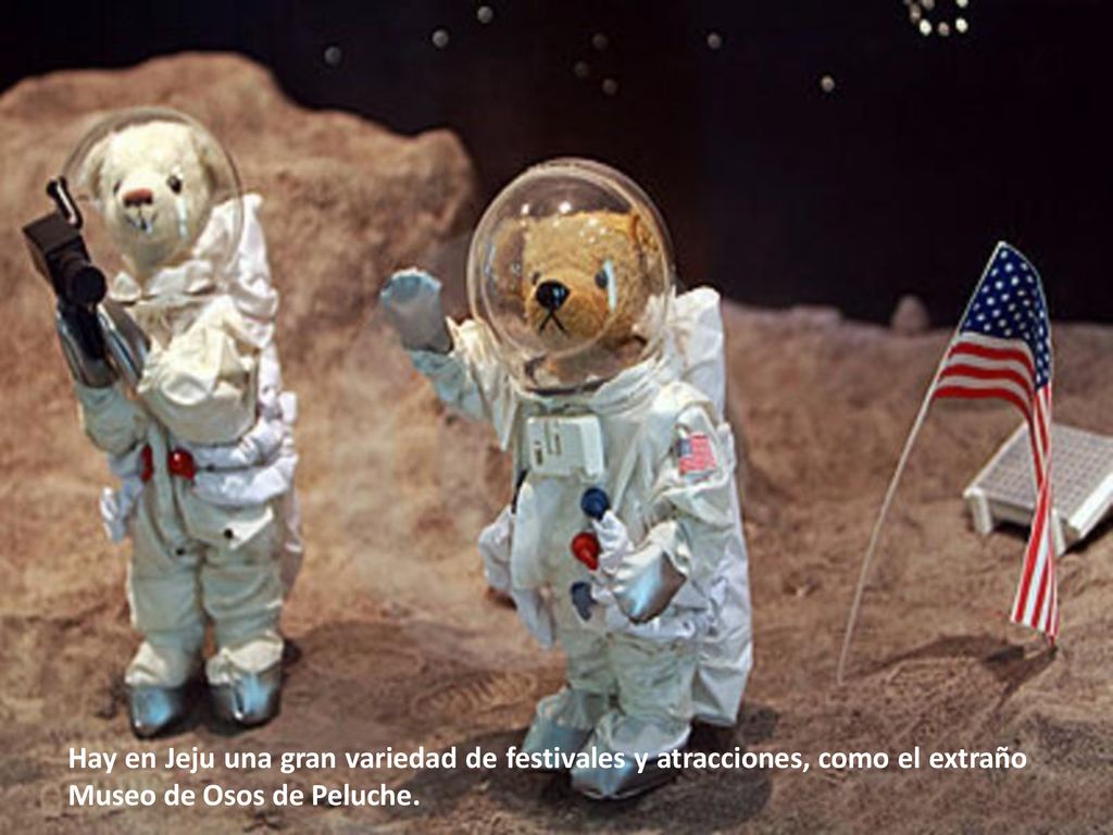 Hay en Jeju una gran variedad de festivales y atracciones, como el extraño Museo de Osos de Peluche.