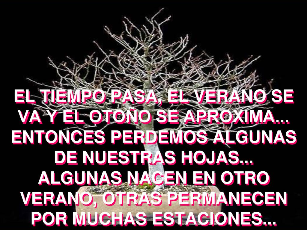 EL TIEMPO PASA, EL VERANO SE VA Y EL OTOÑO SE APROXIMA