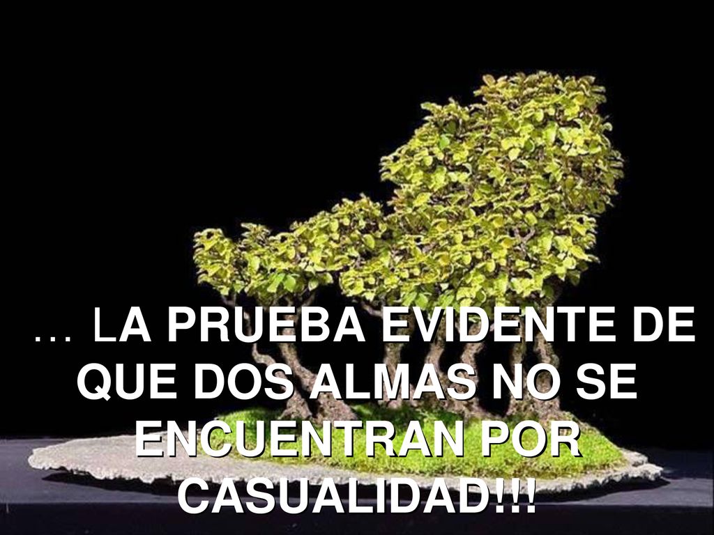 … LA PRUEBA EVIDENTE DE QUE DOS ALMAS NO SE ENCUENTRAN POR CASUALIDAD!!!
