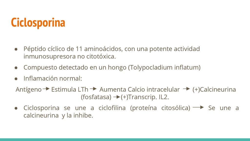 Ciclosporina Péptido cíclico de 11 aminoácidos, con una potente actividad inmunosupresora no citotóxica.