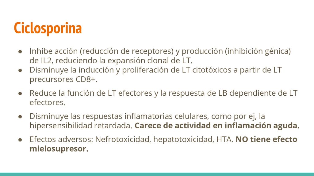 Ciclosporina Inhibe acción (reducción de receptores) y producción (inhibición génica) de IL2, reduciendo la expansión clonal de LT.