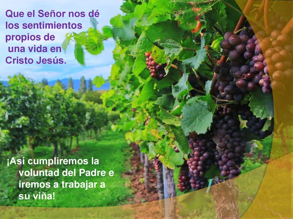 Que el Señor nos dé los sentimientos propios de una vida en Cristo Jesús.