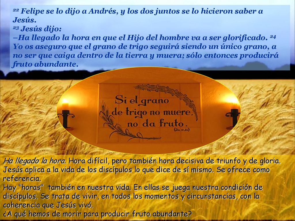 22 Felipe se lo dijo a Andrés, y los dos juntos se lo hicieron saber a Jesús. 23 Jesús dijo: –Ha llegado la hora en que el Hijo del hombre va a ser glorificado. 24 Yo os aseguro que el grano de trigo seguirá siendo un único grano, a no ser que caiga dentro de la tierra y muera; sólo entonces producirá fruto abundante.