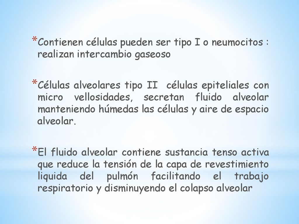 Contienen células pueden ser tipo I o neumocitos : realizan intercambio gaseoso