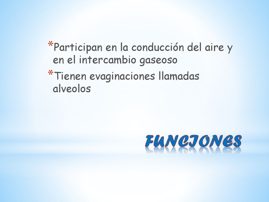 Participan en la conducción del aire y en el intercambio gaseoso