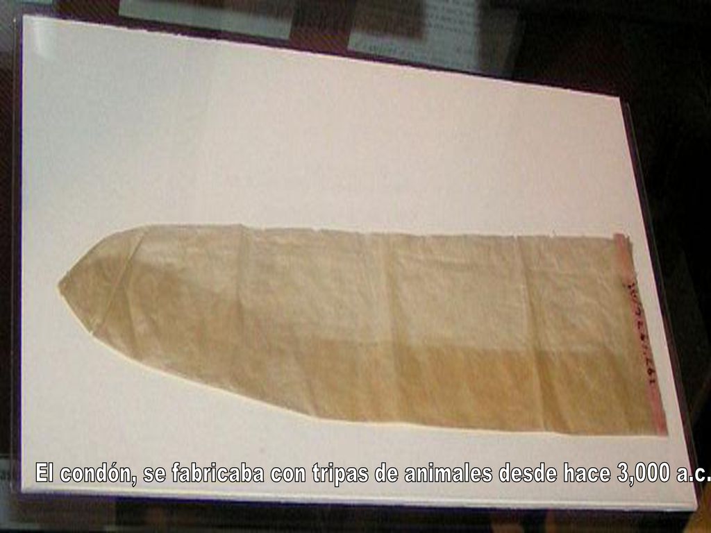 El condón, se fabricaba con tripas de animales desde hace 3,000 a.c.