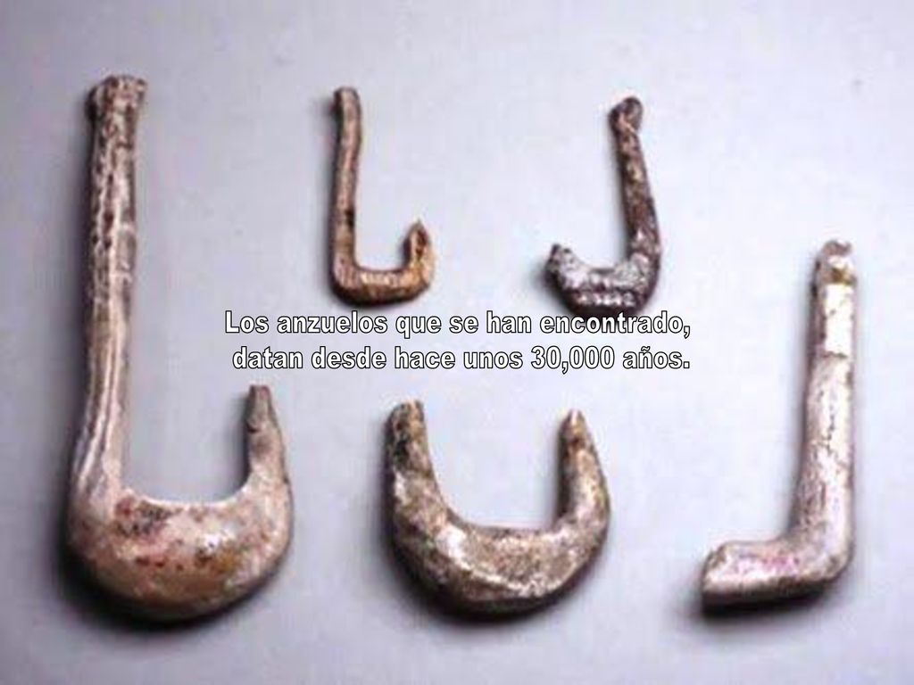 Los anzuelos que se han encontrado, datan desde hace unos 30,000 años.