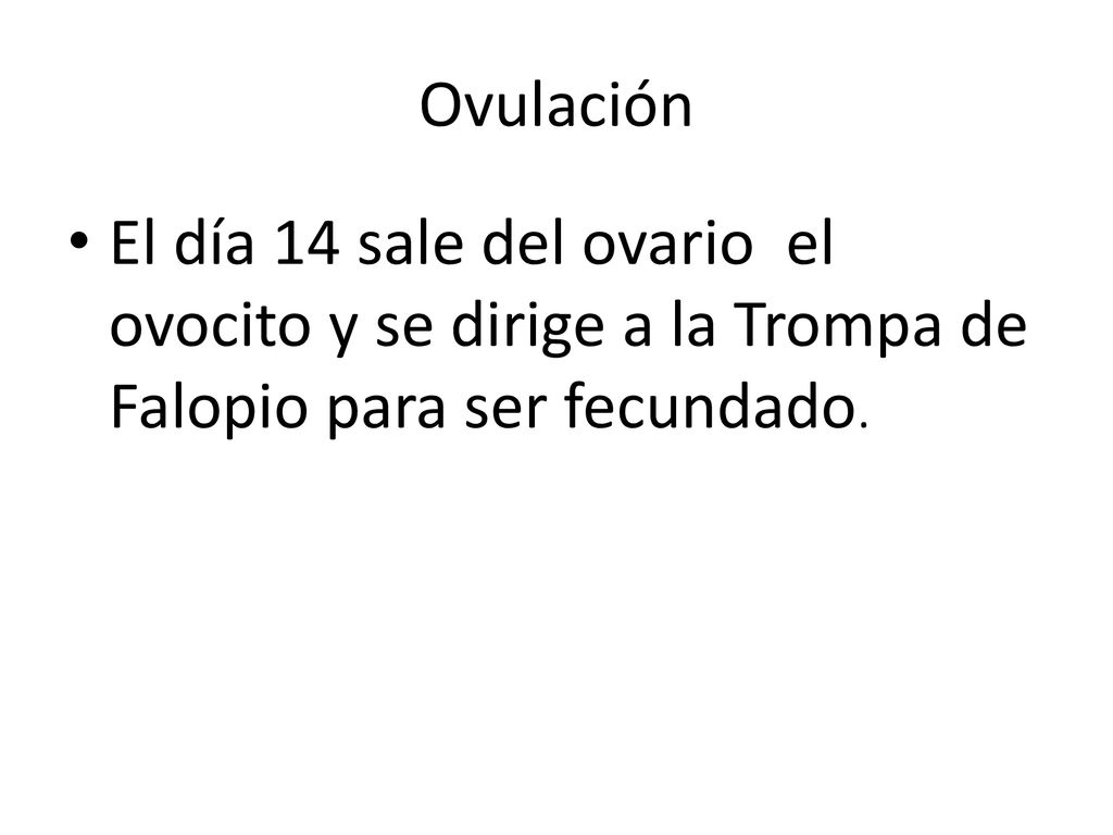 Ovulación El día 14 sale del ovario el ovocito y se dirige a la Trompa de Falopio para ser fecundado.