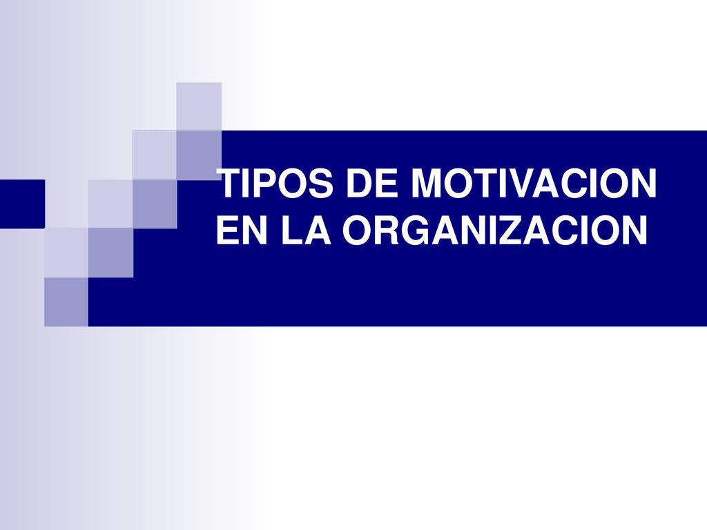 TIPOS DE MOTIVACION EN LA ORGANIZACION