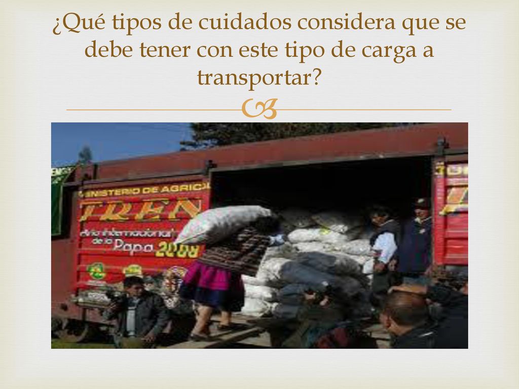 ¿Qué tipos de cuidados considera que se debe tener con este tipo de carga a transportar