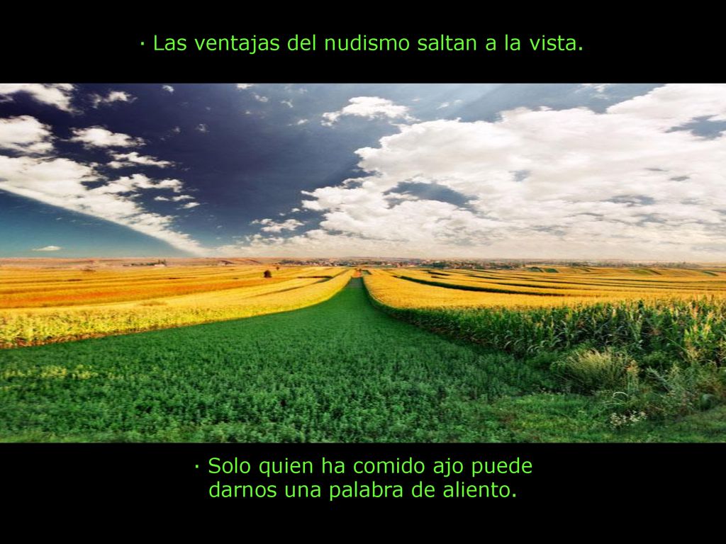 · Solo quien ha comido ajo puede darnos una palabra de aliento.