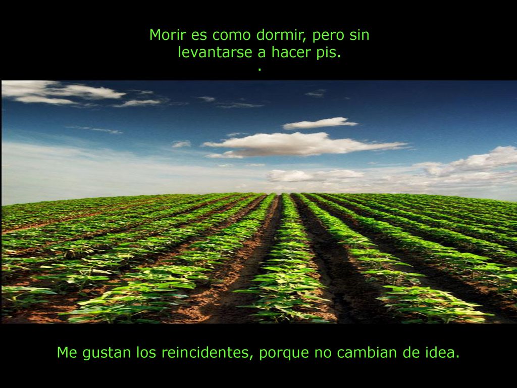 Morir es como dormir, pero sin levantarse a hacer pis. ·