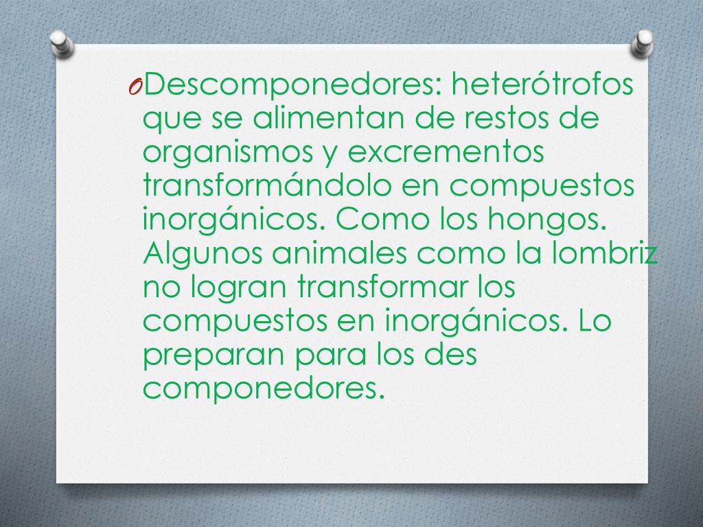 Descomponedores: heterótrofos que se alimentan de restos de organismos y excrementos transformándolo en compuestos inorgánicos.