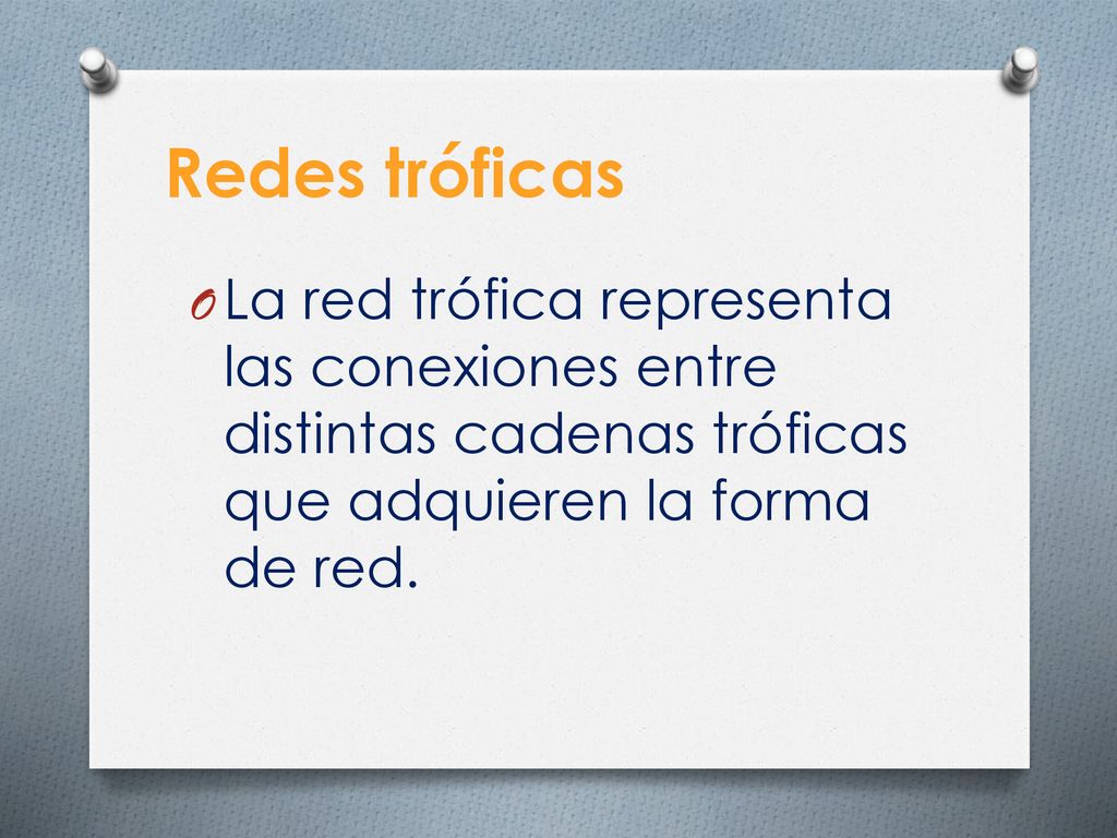 Redes tróficas La red trófica representa las conexiones entre distintas cadenas tróficas que adquieren la forma de red.